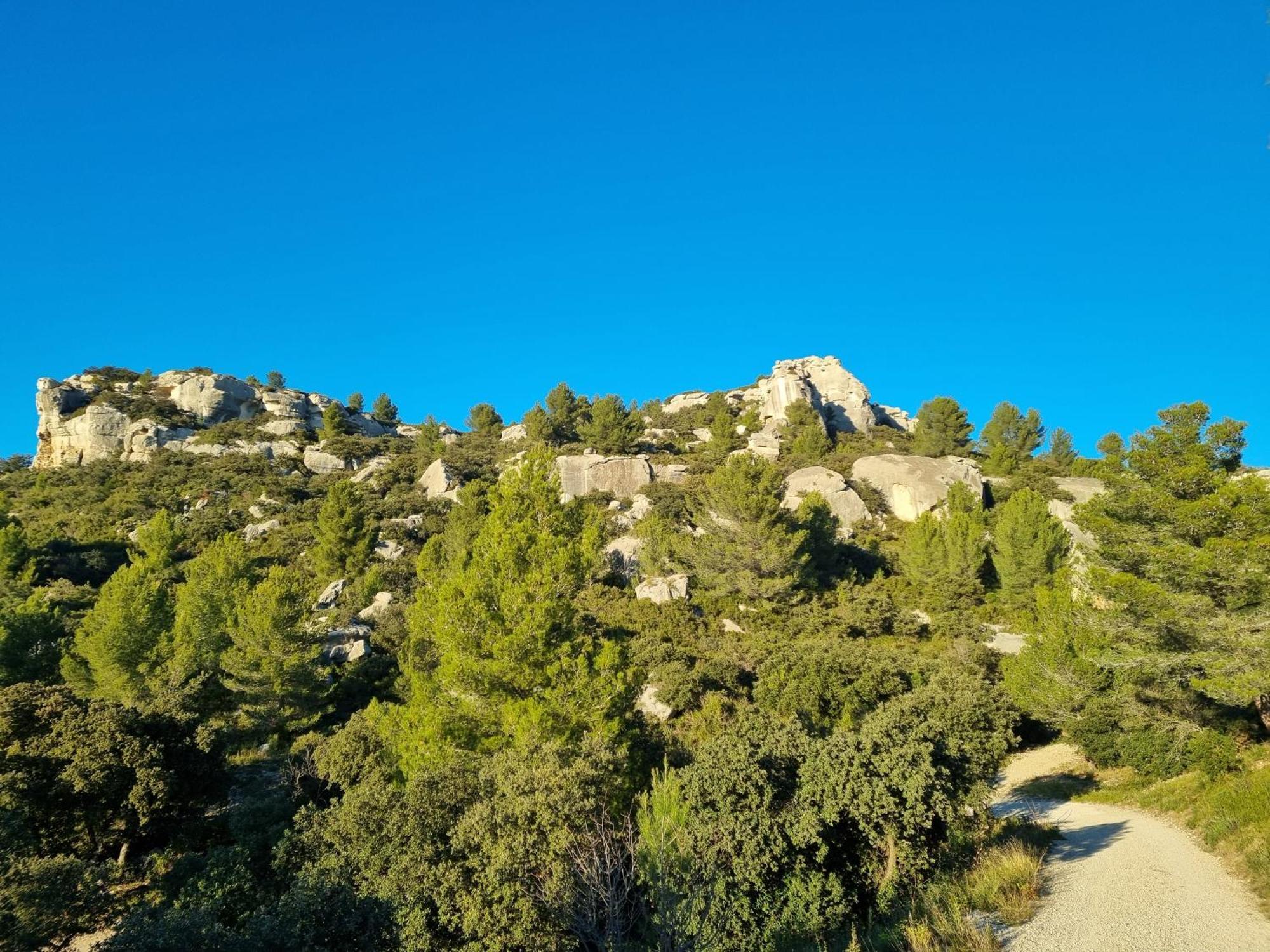 Les Garrigues De La Vallee Des Baux Ferienpark Paradou