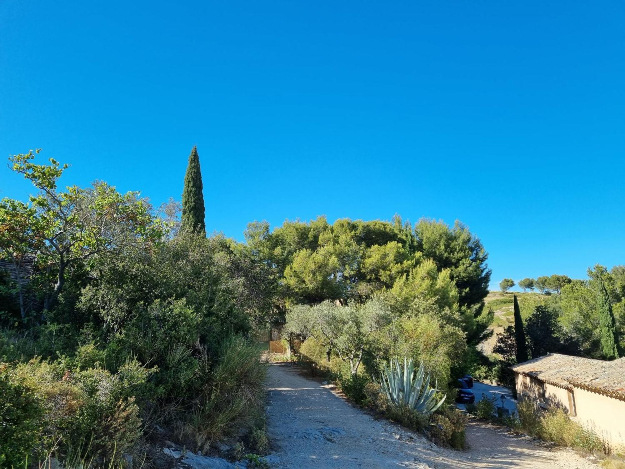 Les Garrigues De La Vallee Des Baux Paradou