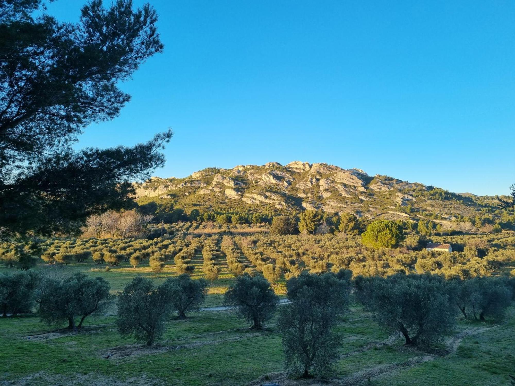 Vakantiepark Les Garrigues De La Vallee Des Baux *