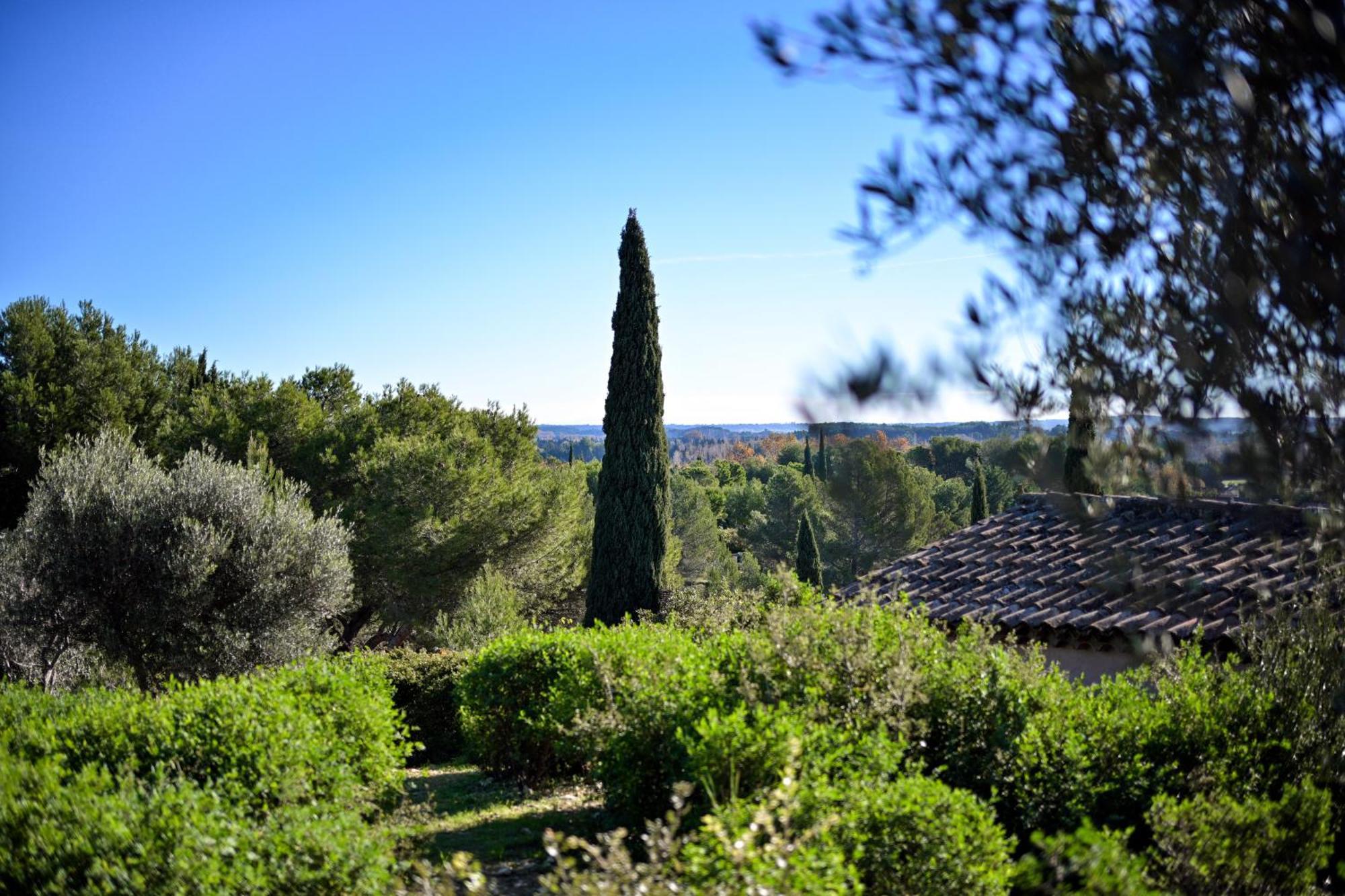 Les Garrigues De La Vallee Des Baux Paradou
